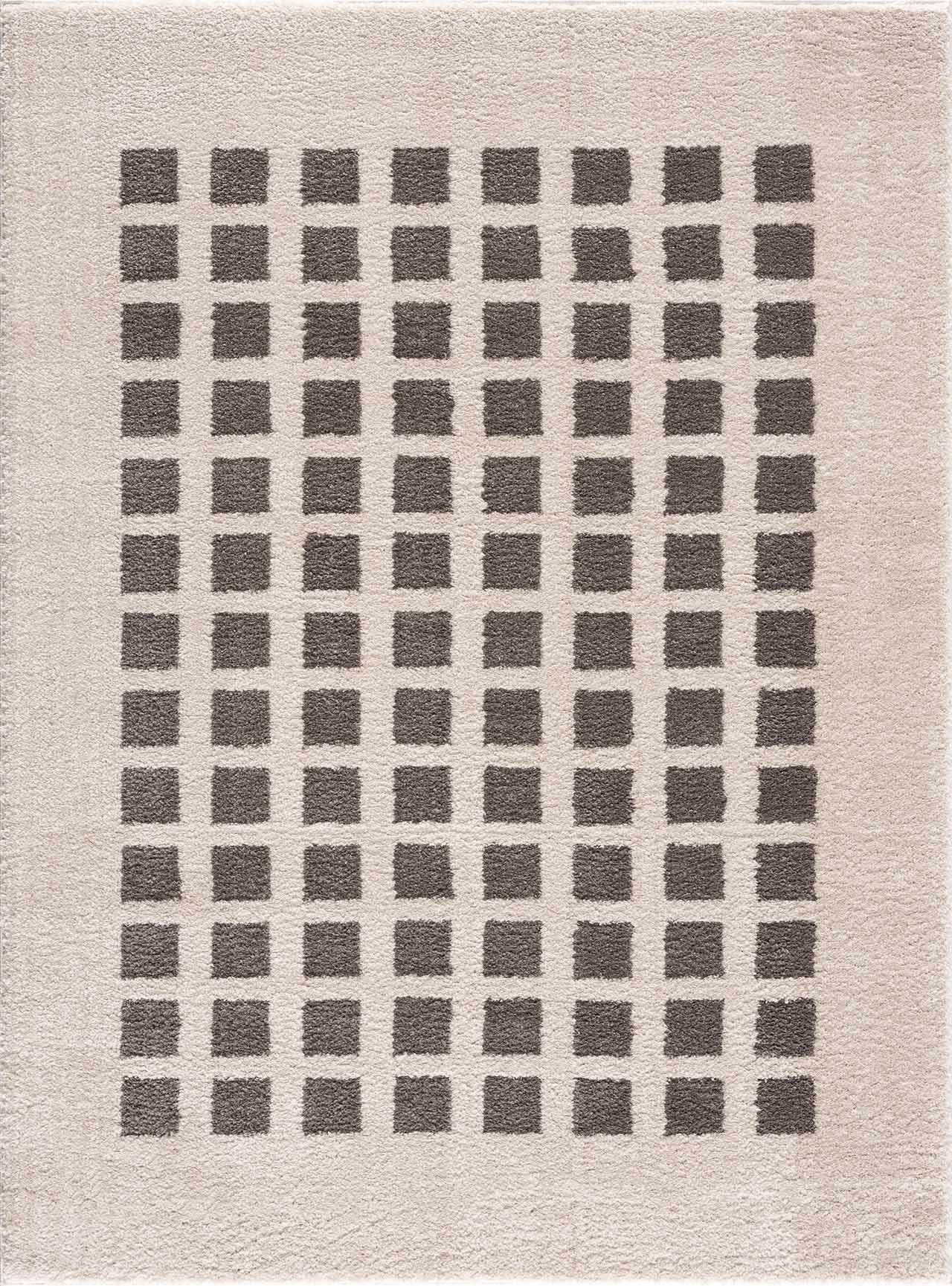 Baback Charcoal Washable Area Rug-1