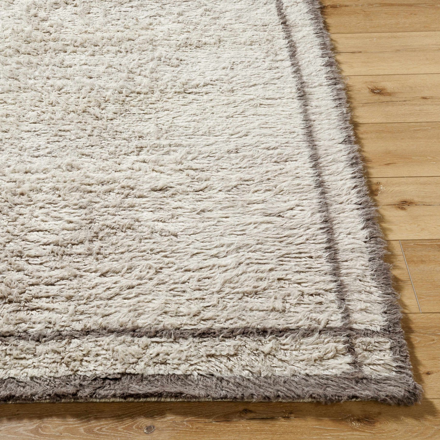 Aidric Area Rug-2